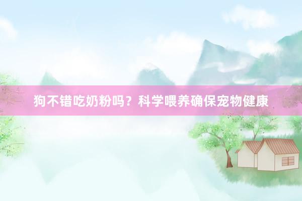 狗不错吃奶粉吗？科学喂养确保宠物健康